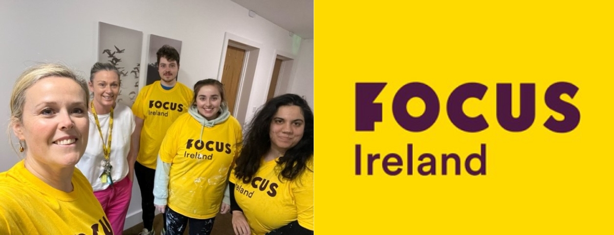 Focus Ireland Painting Project