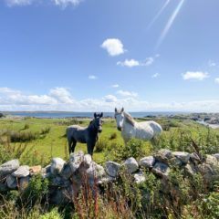 Connemara