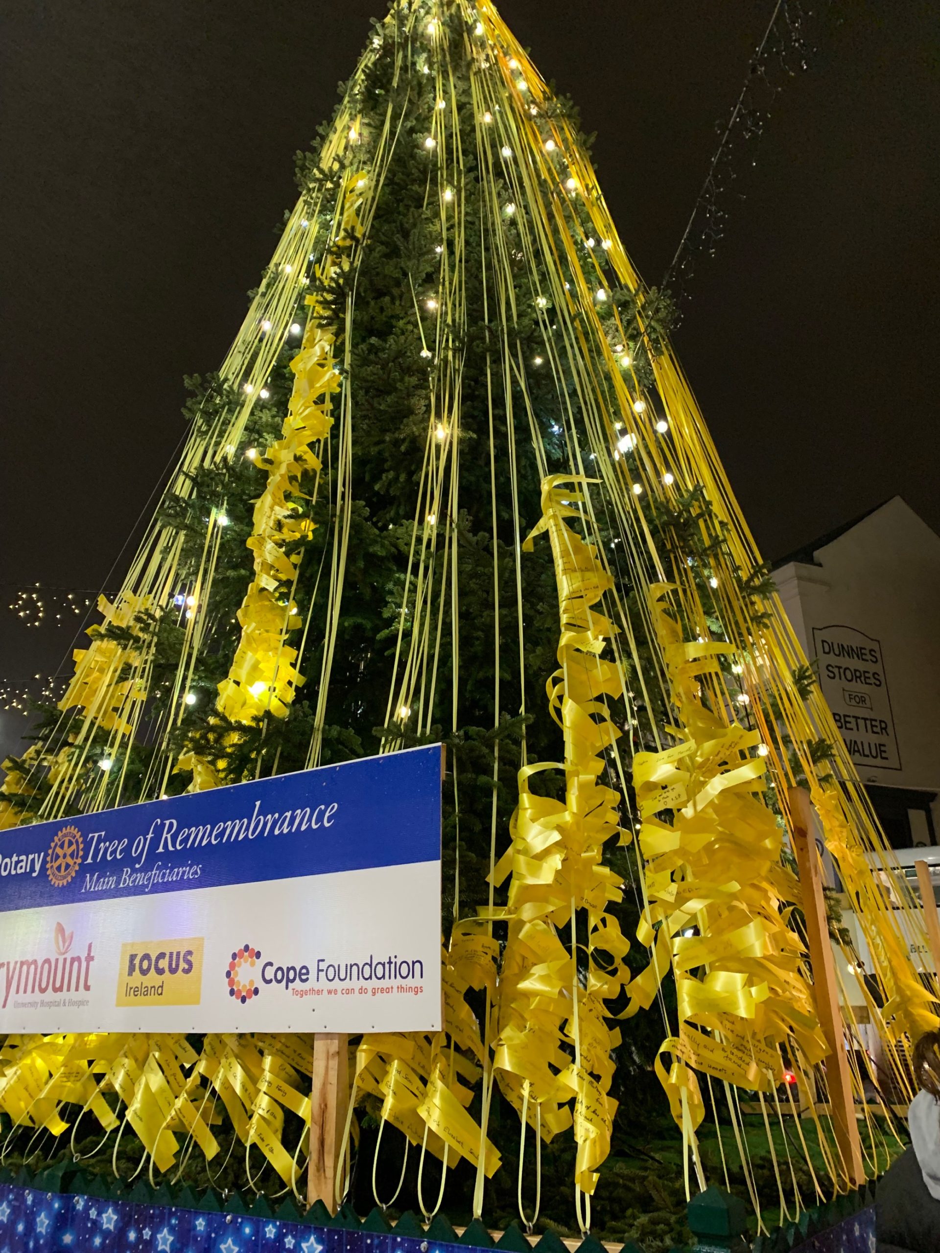 Rotary Tree of Remembrance Focus Ireland