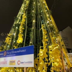 Rotary Tree of Remembrance Focus Ireland